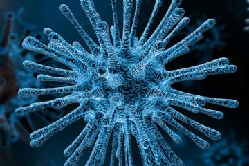 emergenza Coronavirus 429 - Informazioni Prenotazione Vaccinazioni Persone Con Elevata Fragilita&#39; E Grave Disabilit&#224;